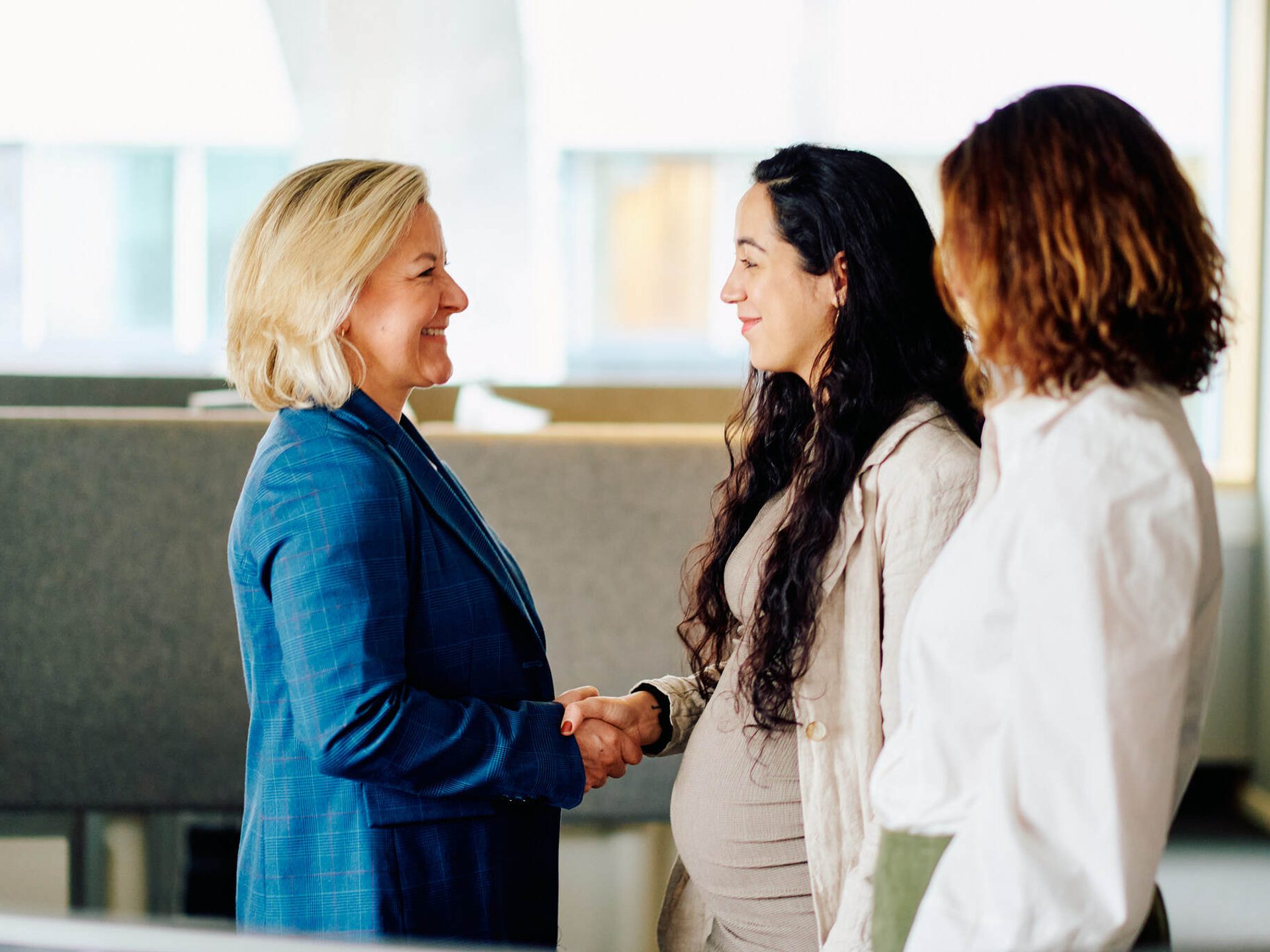 ASV HR Huset situasjoner web 08