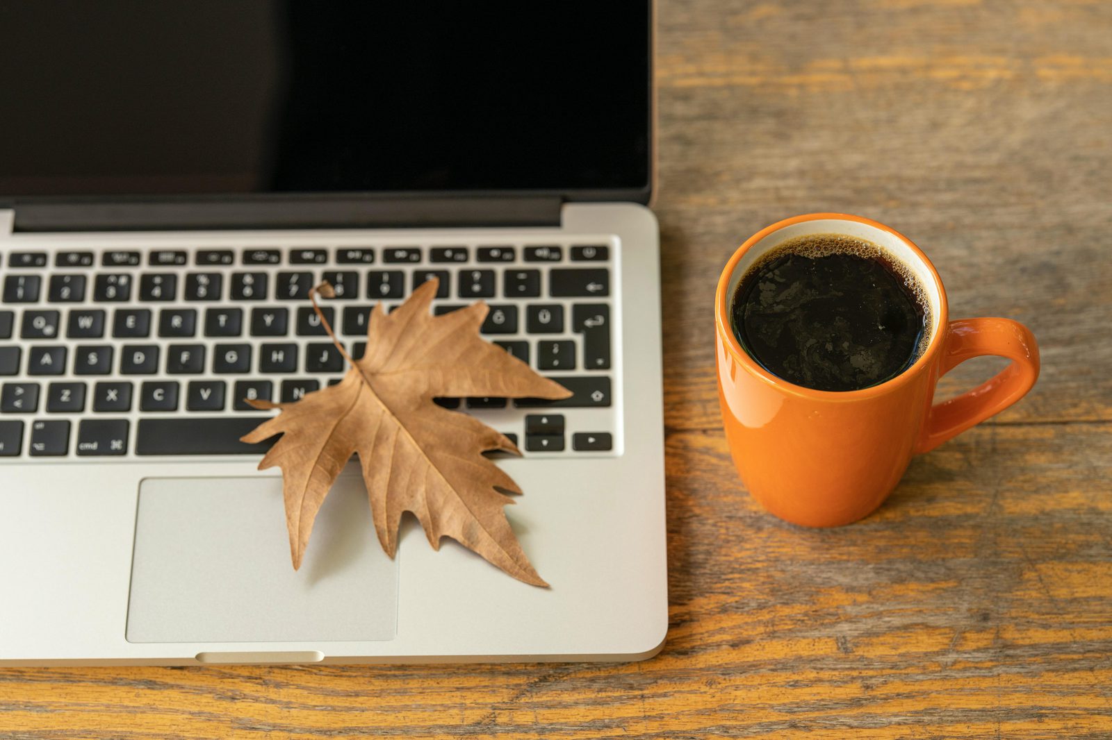Engin akyurt vo1 J60c Qd X8 unsplash