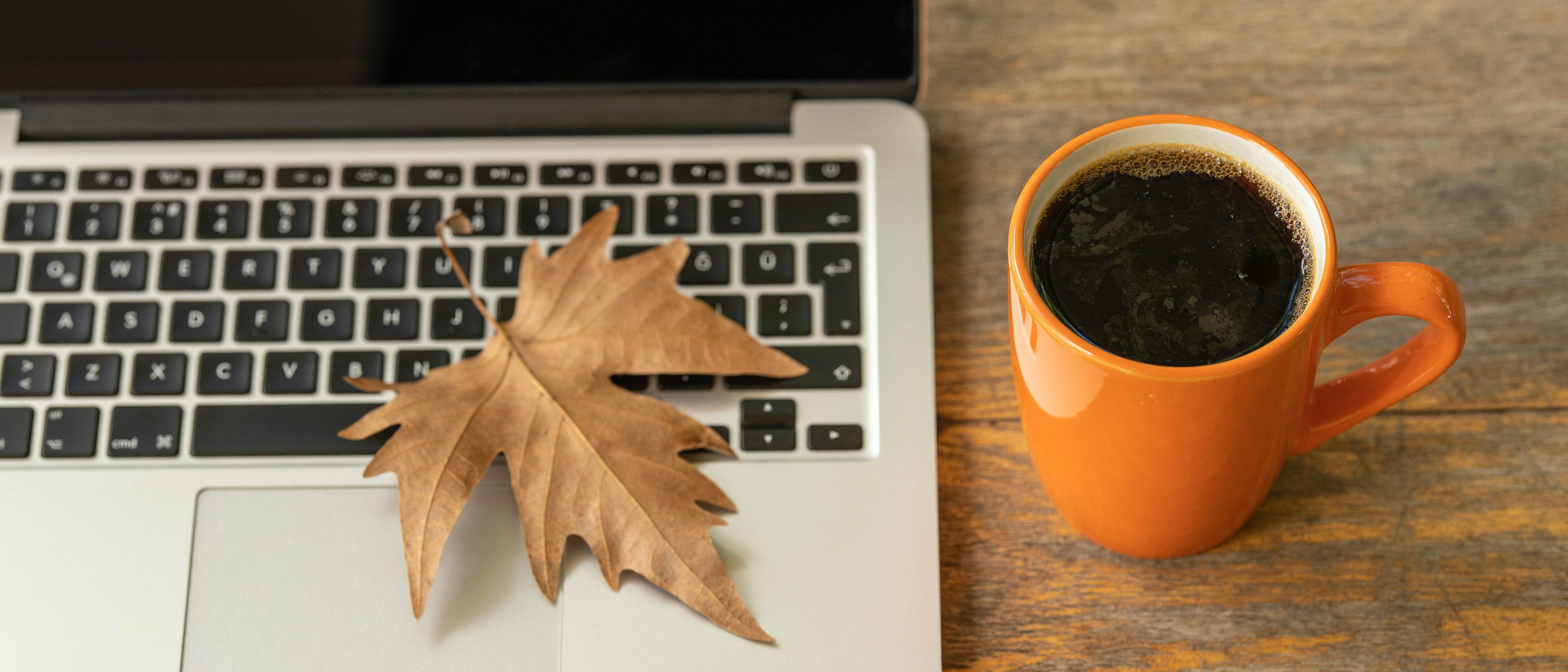 Engin akyurt vo1 J60c Qd X8 unsplash