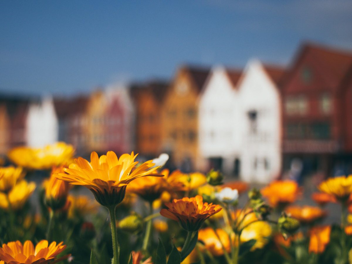 Jeswin thomas I7g1 F Qw J1 U unsplash