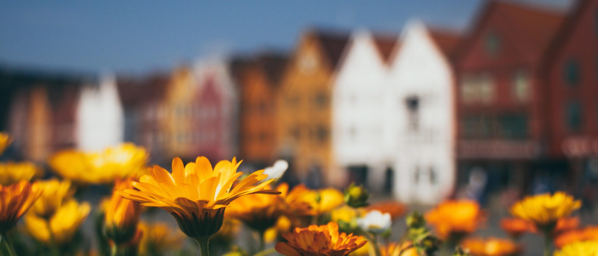 Jeswin thomas I7g1 F Qw J1 U unsplash