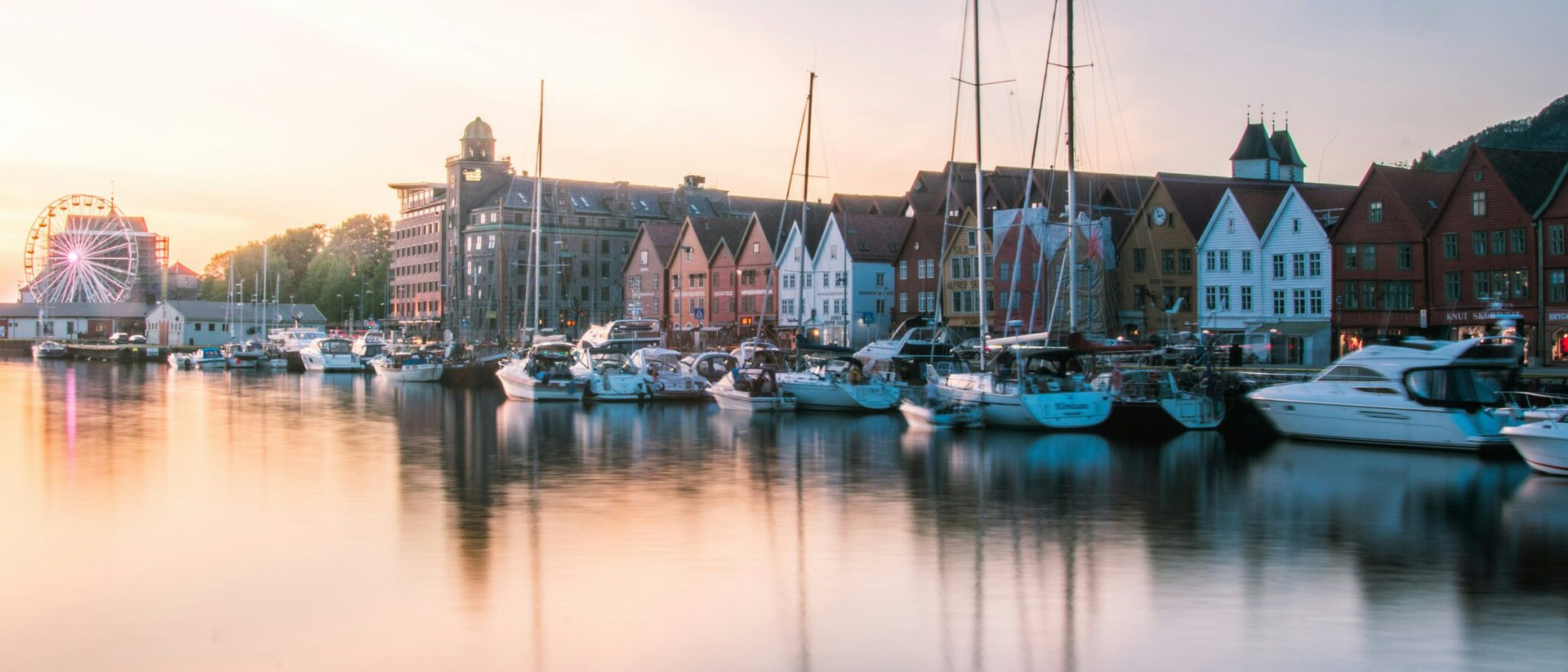 Lachlan gowen AG3 Ecbc Q Ojw unsplash